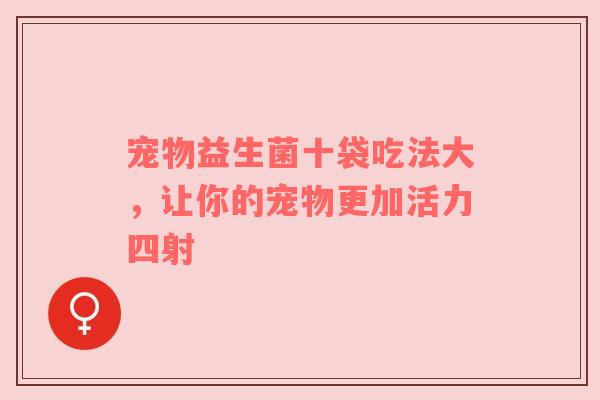 宠物益生菌十袋吃法大，让你的宠物更加活力四射
