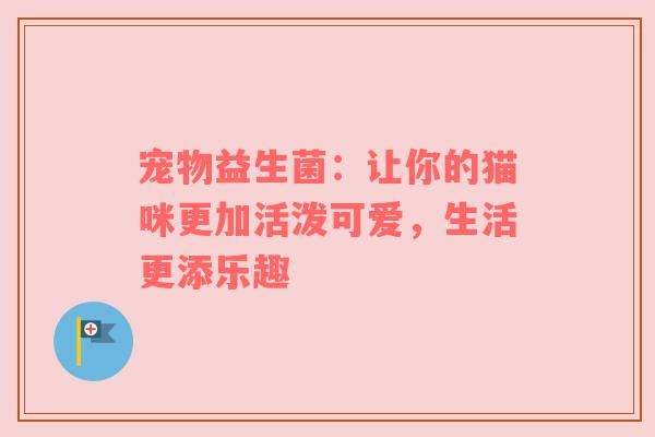 宠物益生菌：让你的猫咪更加活泼可爱，生活更添乐趣