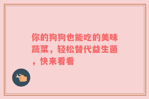 你的狗狗也能吃的美味蔬菜，轻松替代益生菌，快来看看