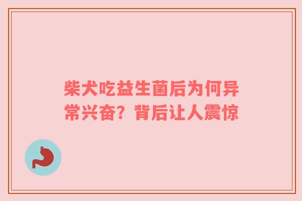 柴犬吃益生菌后为何异常兴奋？背后让人震惊