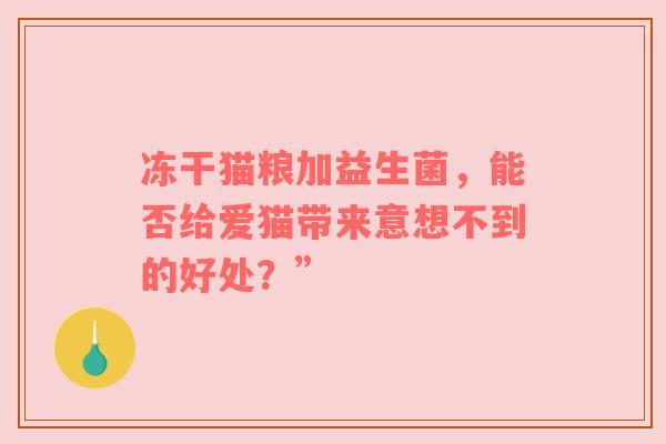 冻干猫粮加益生菌，能否给爱猫带来意想不到的好处？”