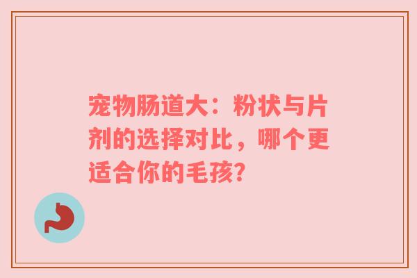 宠物肠道大：粉状与片剂的选择对比，哪个更适合你的毛孩？
