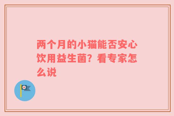 两个月的小猫能否安心饮用益生菌？看专家怎么说