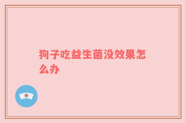 狗子吃益生菌没效果怎么办