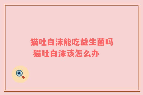 猫吐白沫能吃益生菌吗 猫吐白沫该怎么办