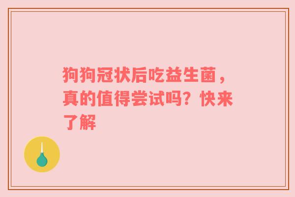 狗狗冠状后吃益生菌，真的值得尝试吗？快来了解