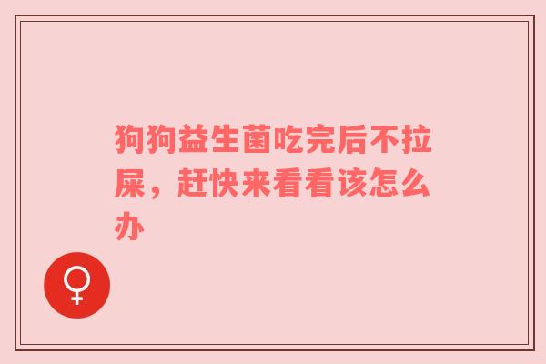 狗狗益生菌吃完后不拉屎，赶快来看看该怎么办