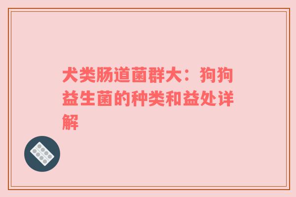 犬类肠道菌群大：狗狗益生菌的种类和益处详解