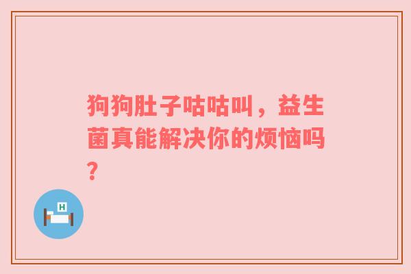 狗狗肚子咕咕叫，益生菌真能解决你的烦恼吗？