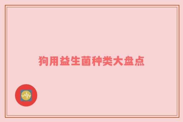 狗用益生菌种类大盘点