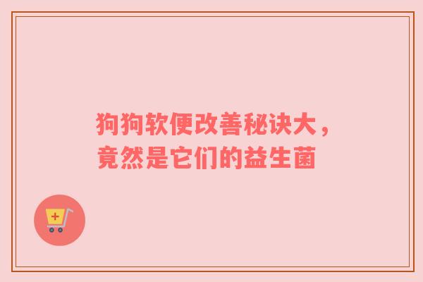 狗狗软便改善秘诀大，竟然是它们的益生菌