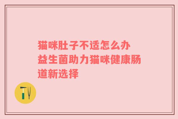 猫咪肚子不适怎么办 益生菌助力猫咪健康肠道新选择