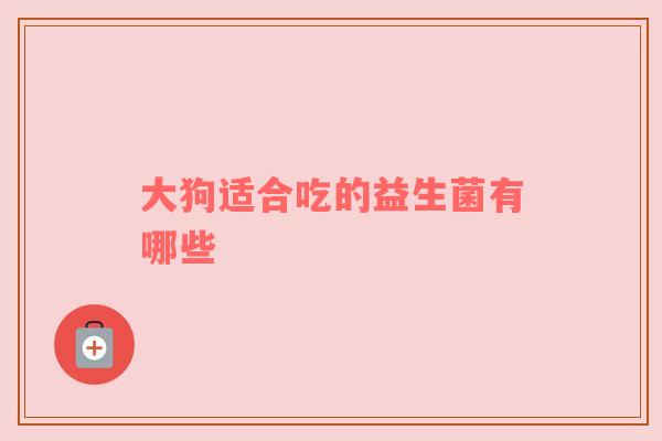 大狗适合吃的益生菌有哪些