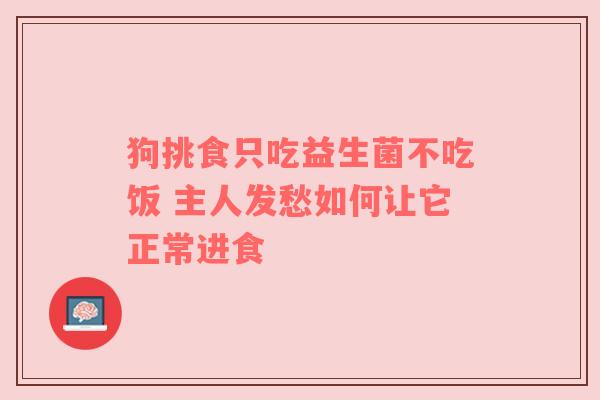 狗挑食只吃益生菌不吃饭 主人发愁如何让它正常进食