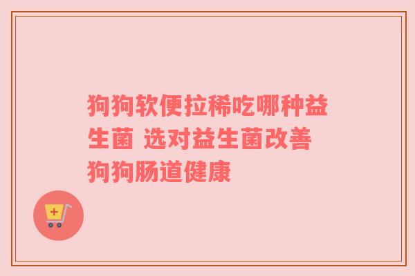 狗狗软便拉稀吃哪种益生菌 选对益生菌改善狗狗肠道健康