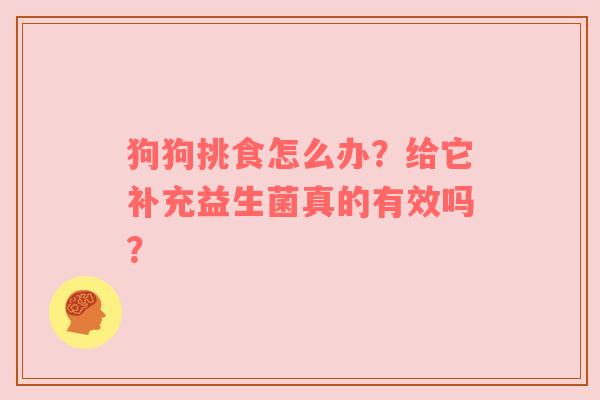 狗狗挑食怎么办？给它补充益生菌真的有效吗？