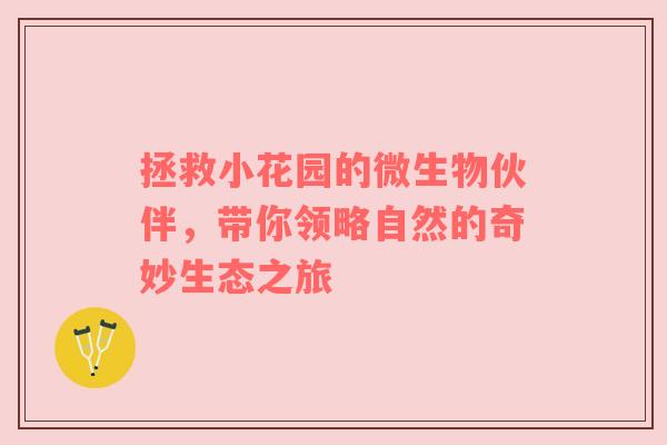 拯救小花园的微生物伙伴，带你领略自然的奇妙生态之旅