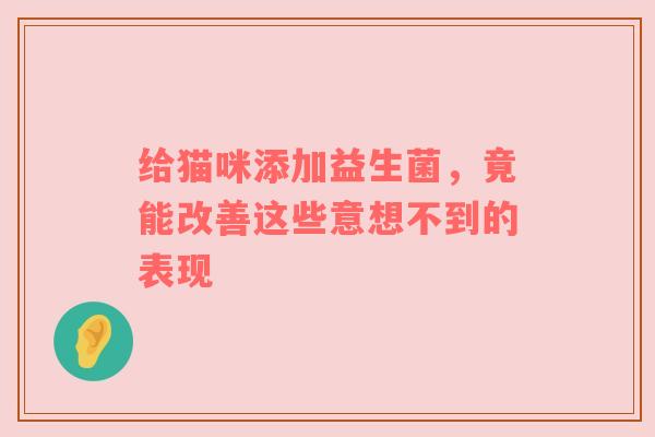 给猫咪添加益生菌，竟能改善这些意想不到的表现