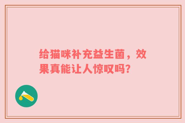 给猫咪补充益生菌，效果真能让人惊叹吗？