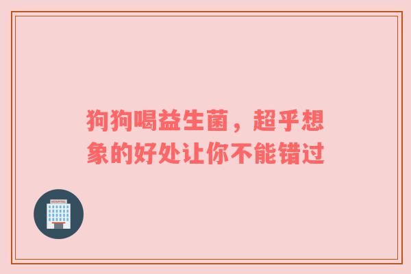 狗狗喝益生菌，超乎想象的好处让你不能错过