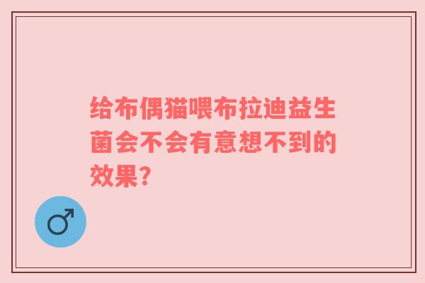 给布偶猫喂布拉迪益生菌会不会有意想不到的效果？