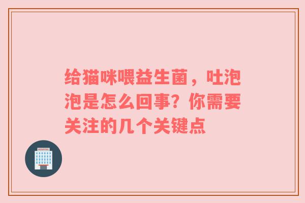 给猫咪喂益生菌，吐泡泡是怎么回事？你需要关注的几个关键点