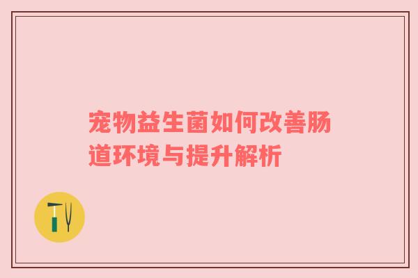 宠物益生菌如何改善肠道环境与提升解析