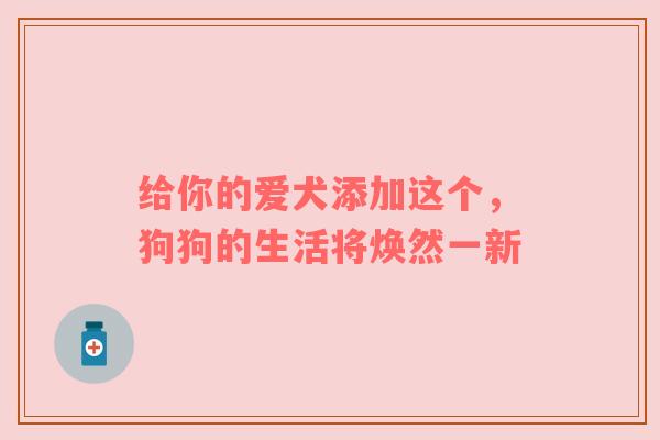 给你的爱犬添加这个，狗狗的生活将焕然一新