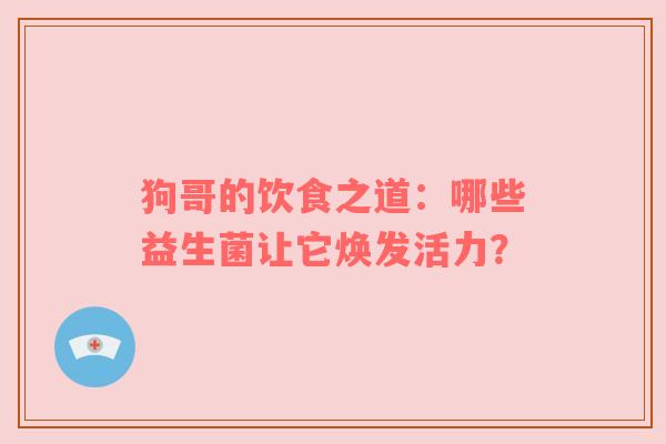 狗哥的饮食之道：哪些益生菌让它焕发活力？