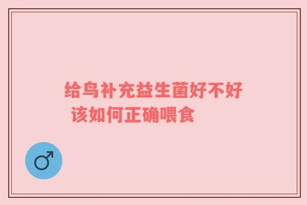 给鸟补充益生菌好不好 该如何正确喂食