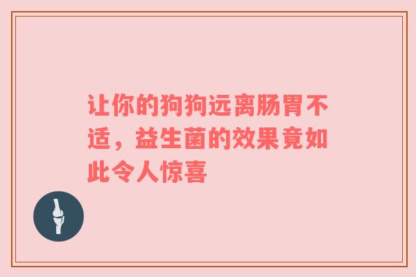 让你的狗狗远离肠胃不适，益生菌的效果竟如此令人惊喜