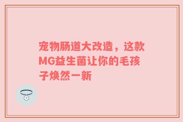 宠物肠道大改造，这款MG益生菌让你的毛孩子焕然一新