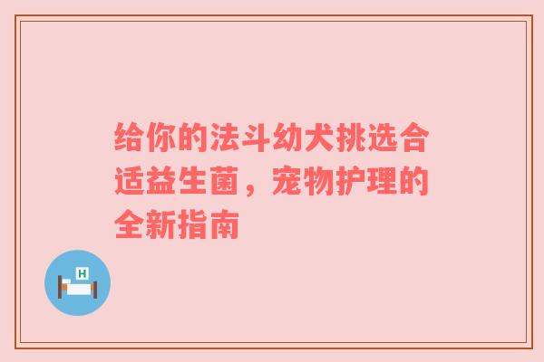 给你的法斗幼犬挑选合适益生菌，宠物护理的全新指南