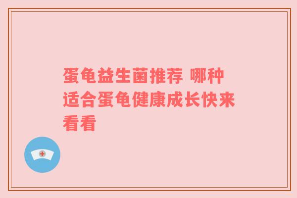 蛋龟益生菌推荐 哪种适合蛋龟健康成长快来看看