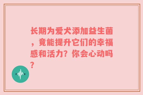 长期为爱犬添加益生菌，竟能提升它们的幸福感和活力？你会心动吗？