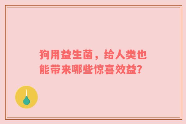 狗用益生菌，给人类也能带来哪些惊喜效益？