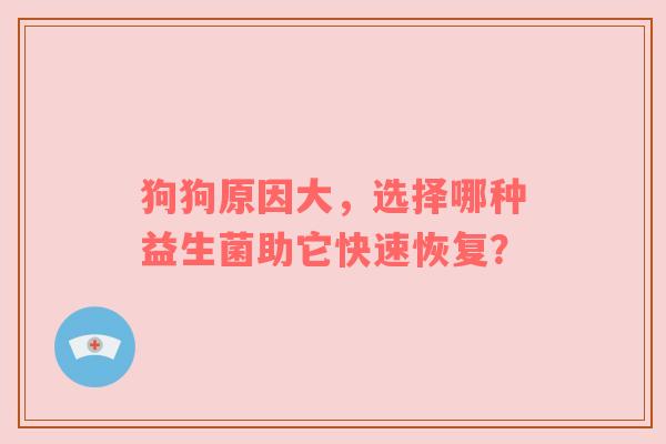 狗狗原因大，选择哪种益生菌助它快速恢复？