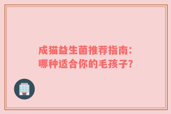 成猫益生菌推荐指南：哪种适合你的毛孩子？