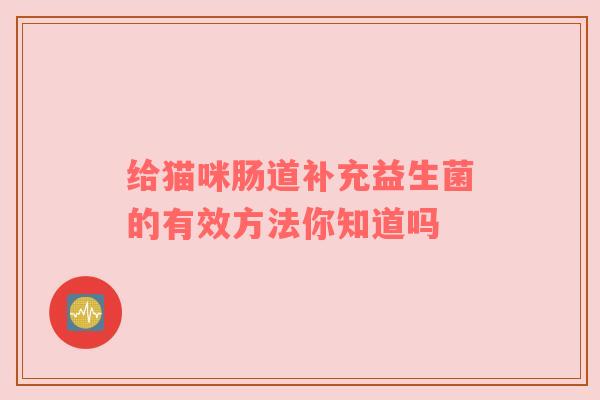 给猫咪肠道补充益生菌的有效方法你知道吗