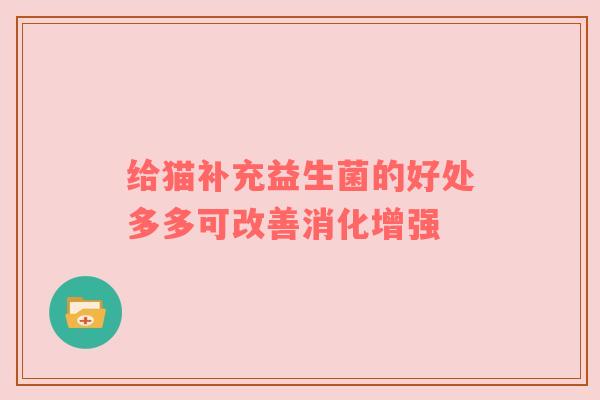 给猫补充益生菌的好处多多可改善消化增强